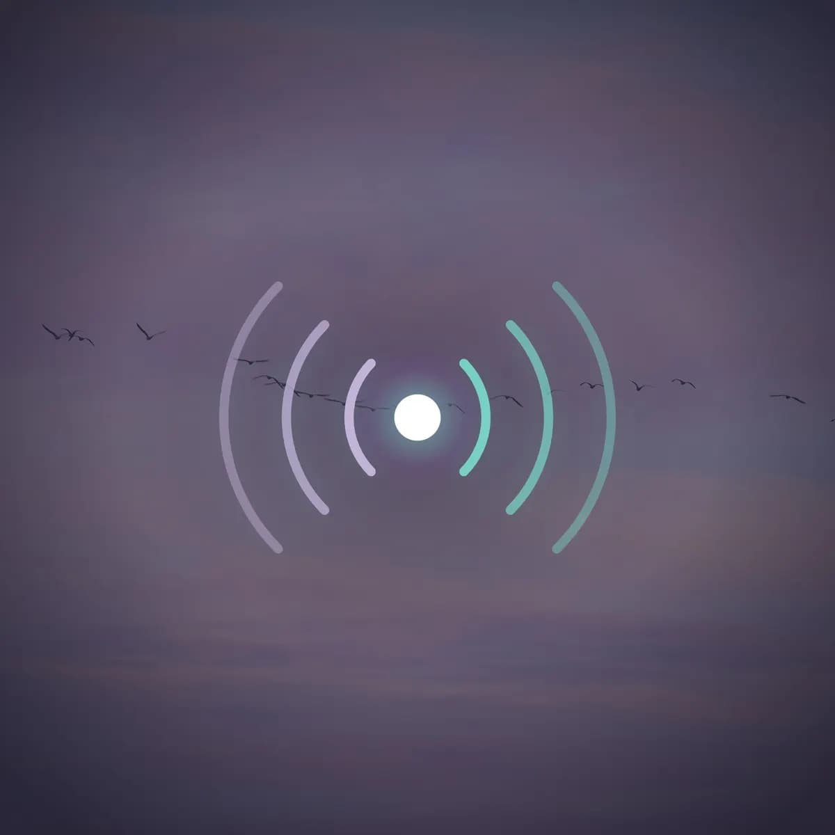 Resource banner for post 83: press constellation research
